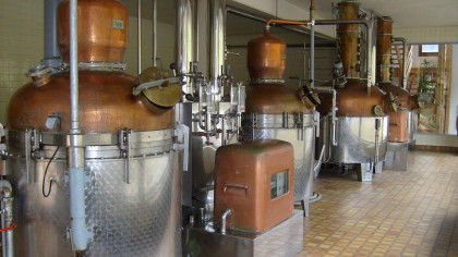 G. Miclo, distillateur-liquoriste