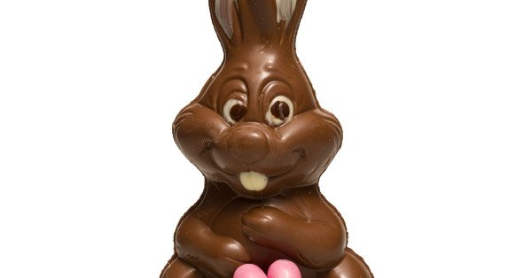 Le lapin de pâques gourmand en chocolat