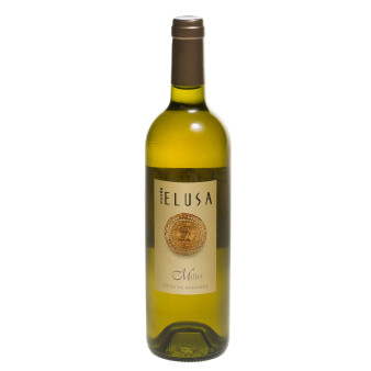 Vin blanc côtes de Gascogne IGP cuvée Elusa, 12°