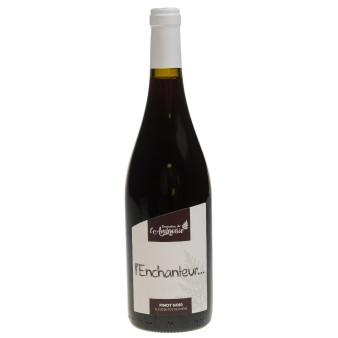 Pinot noir des Côtes de Toul "L'enchanteur" 13.5%